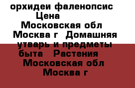 орхидеи фаленопсис › Цена ­ 1 200 - Московская обл., Москва г. Домашняя утварь и предметы быта » Растения   . Московская обл.,Москва г.